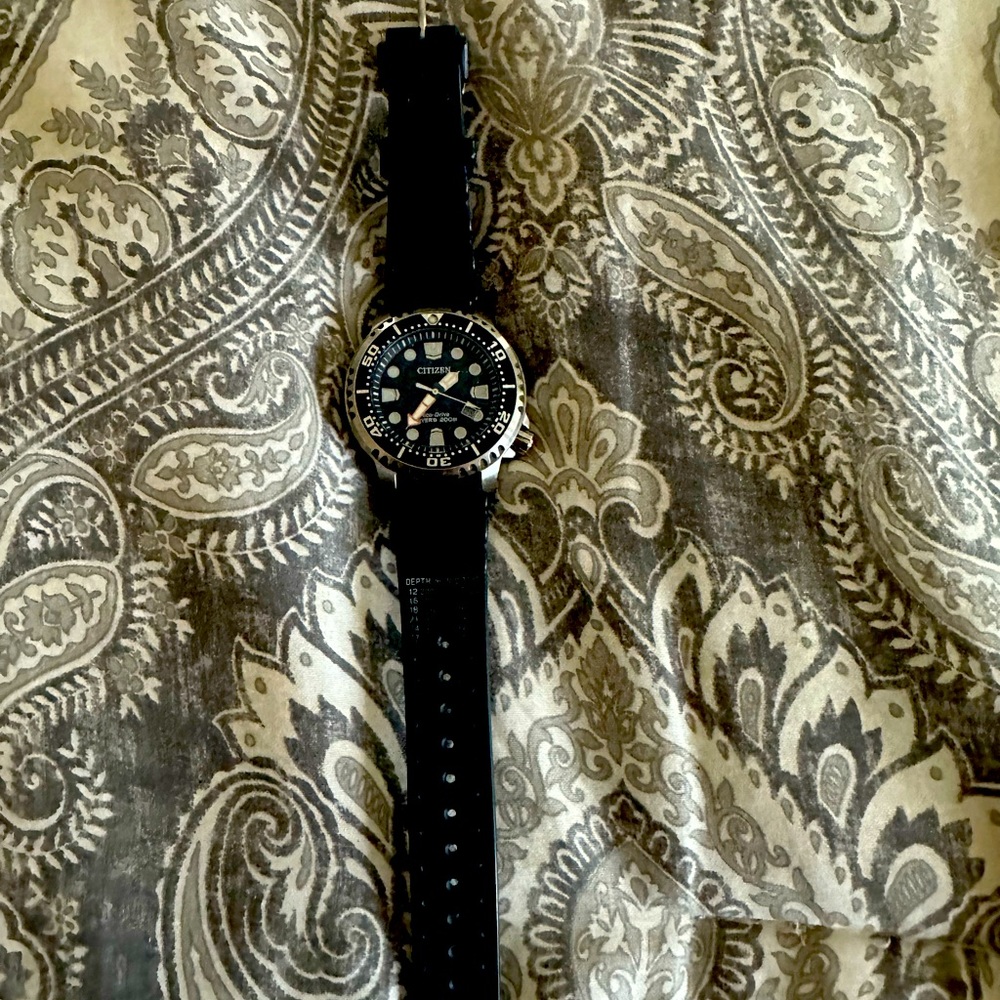Citizen dive watch